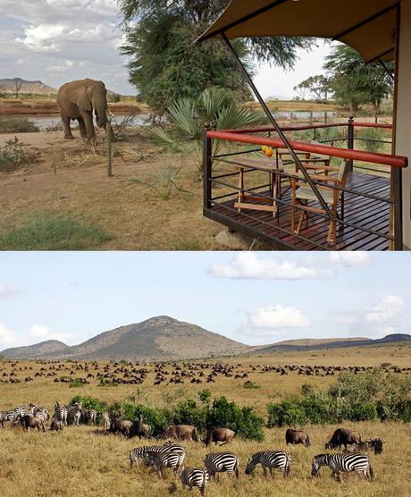 Luna de miel (5 destinos) Luna de miel (5 destinos)