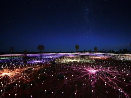 Mirando un montón de hermosas luces... Bruce Munro