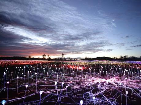 Mirando un montón de hermosas luces... Bruce Munro