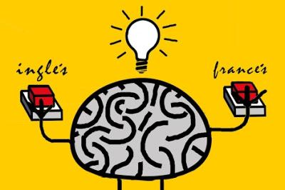 LOS IDIOMAS ENTRENAN EL CEREBRO LOS IDIOMAS ENTRENAN EL CEREBRO