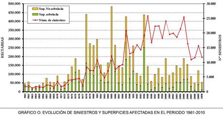 LOS INCENDIOS FORESTALES EN ESPAÑA: SU INCIDENCIA SOBRE EL PAISAJE NATURAL Y OTROS IMPACTOS