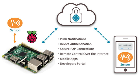 Como acceder a una Blackberry Pi desde Internet