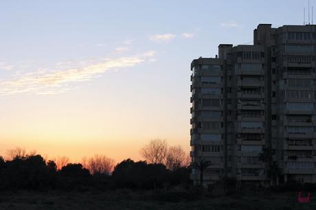 Un paseo por: la Dehesa del Saler