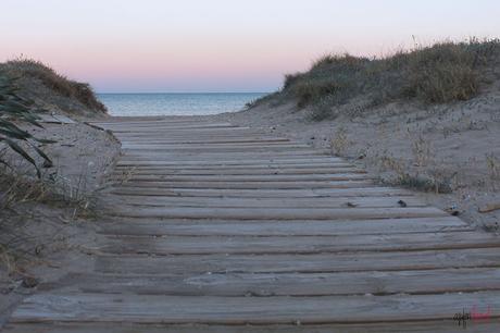 Un paseo por: la Dehesa del Saler