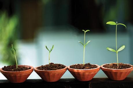 Crecer requiere de sueños y planificación Crecer requiere de sueños y planificación