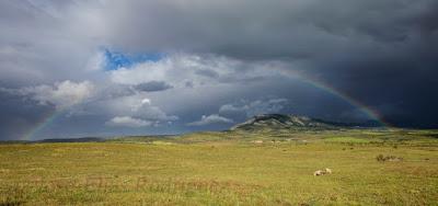 Yo voy buscando arco iris, de la tarde