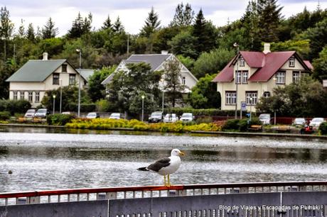 24 horas en Reikiavik 24 horas en Reikiavik