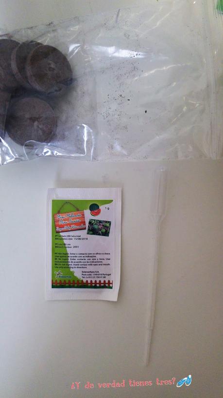 Cultivamos mini sandías con los invernaderos de Science 4 you. ¡Y con sorteo! Cultivamos mini sandías con los invernaderos de Science 4 you. ¡Y con sorteo!