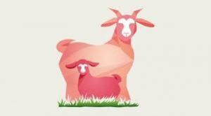 Capricare Leche de Cabra capricare leche de cabra