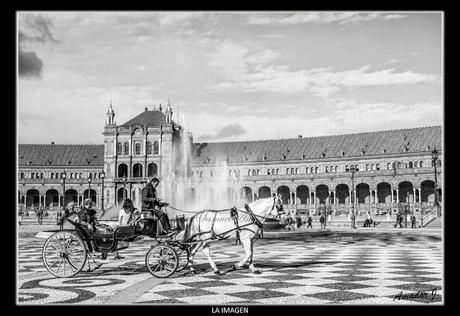 SEVILLA en BLANCO y NEGRO: PARQUE Mª LUISA y PLAZA DE ESPAÑA. PARTE II