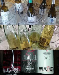 Cata-Degustación Mayo 2016 en Bodega Selección