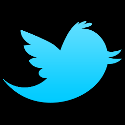 ¿Qué son las listas de twitter y para qué usarlas? pajarito