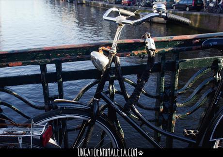 amsterdam bici