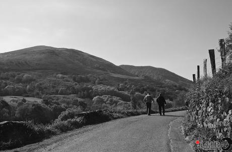 NO TE VAYAS DE NAVARRA: VALLE DE BAZTÁN (II)