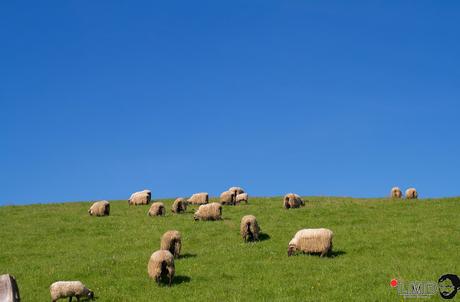 NO TE VAYAS DE NAVARRA: VALLE DE BAZTÁN (II)