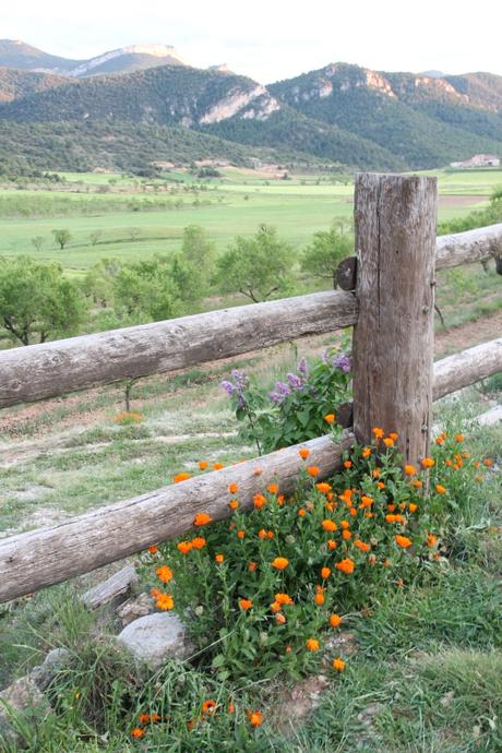 Postales desde el Matarraña