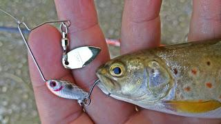 Día de pruebas Día de pruebas