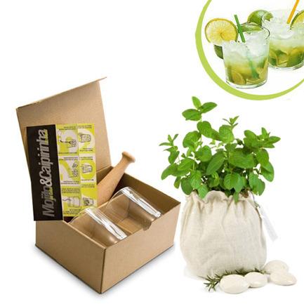 Set de mojito con planta de menta - Foto: www.regalosecology.com