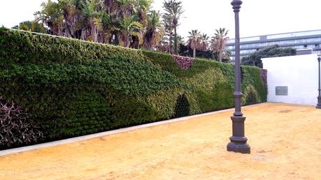 Jardín vertical en Cádiz