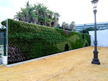 Jardín vertical en Cádiz