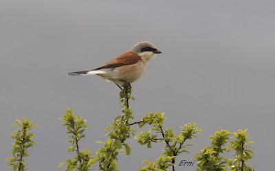 PONIÉNDONOS AL DÍA