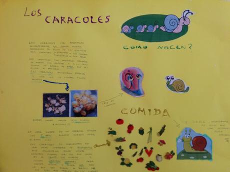 ¿Cómo nacen y de qué se alimentan los caracoles? IMG_20160518_102209 (Copiar)