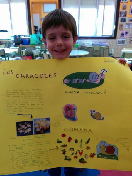 ¿Cómo nacen y de qué se alimentan los caracoles? IMG_20160518_094027 (Copiar)