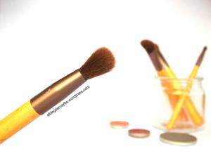 highlighting-ecotools