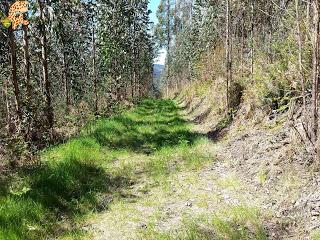 Senderismo por Coruña: SM 05 - Veiga do Mandeo (Aranga) Senderismo por Coruña: SM 05 - Veiga do Mandeo (Aranga)