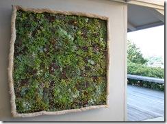 lian-vine-framed-garden