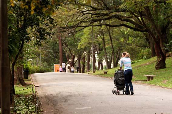 FUNCIONES Y DISEÑO DE LOS ESPACIOS VERDES EN LA CIUDAD FUNCIONES Y DISEÑO DE LOS ESPACIOS VERDES EN LA CIUDAD