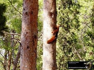 Punto caliente de Biodiversidad. Punto caliente de Biodiversidad.