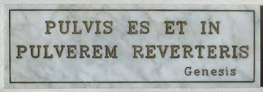 polvo Echar un polvo.