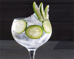 Gin tonics image