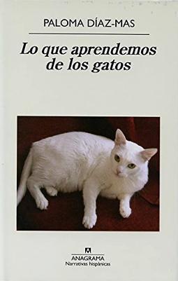 Lo que aprendemos de los gatos Lo que aprendemos de los gatos