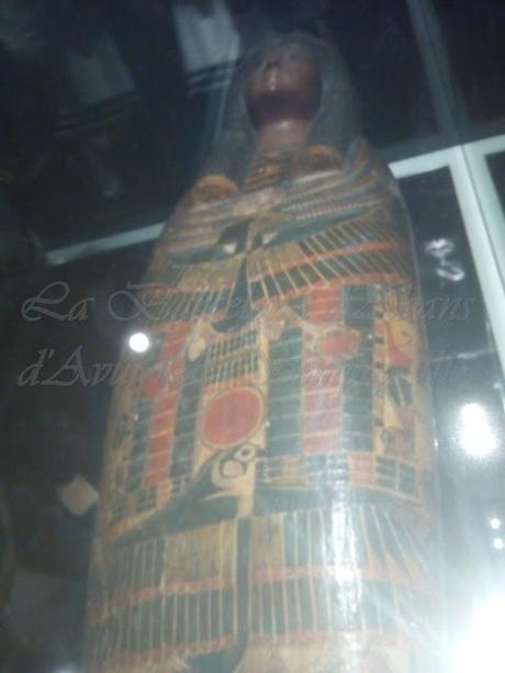 TUTANKHAMON, I 2ª PART; A LA BARCELONA D' ABANS, D' AVUI I DE SEMPRE...23-05-2016...!!! TUTANKHAMON, I 2ª PART; A LA BARCELONA D' ABANS, D' AVUI I DE SEMPRE...23-05-2016...!!!