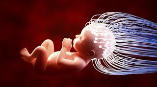 Imagen creada de un bebé en la placenta conectado a sensores.