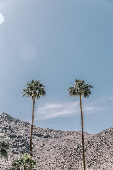 Elvis Honeymoon Hideway Boho_Dress-Lace_Up_Dress-Lack_of_Color-Revolve_Clothing-Straw_Hat-Soludos_Espadrilles-Palm_Springs-Outfit-Collage_Vintage-56