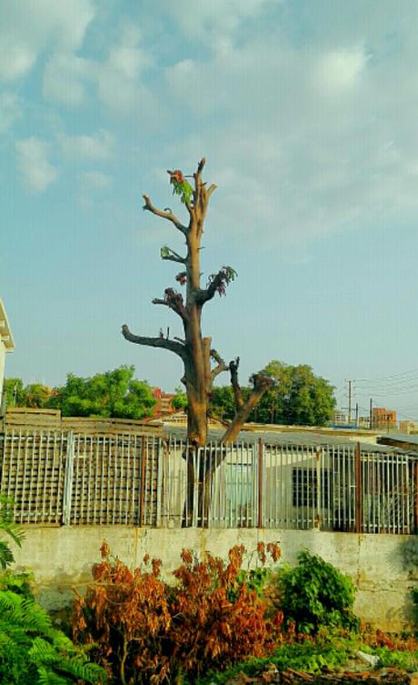 IMG_20160525_001851.jpg image