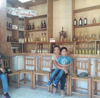 Tips para viajar a Ica - Parte 1 Tips para viajar a Ica - Parte 1