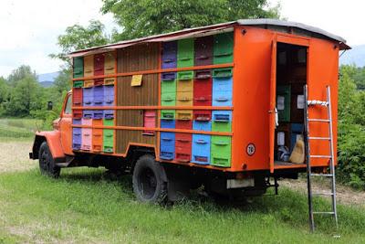 LA APICULTURA EN ESLOVENIA - BEEKEEPING IN SLOVENIA