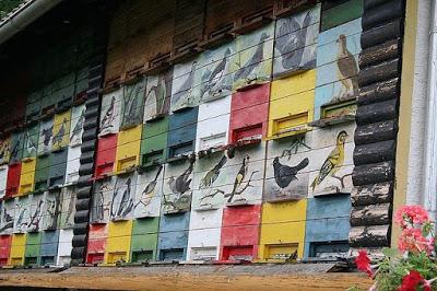 LA APICULTURA EN ESLOVENIA - BEEKEEPING IN SLOVENIA