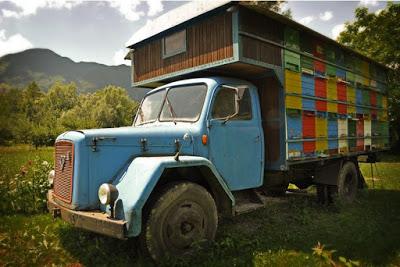 LA APICULTURA EN ESLOVENIA - BEEKEEPING IN SLOVENIA