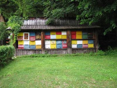 LA APICULTURA EN ESLOVENIA - BEEKEEPING IN SLOVENIA