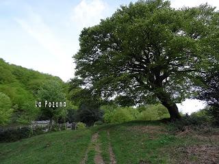 Ruayer-Les Robequeres-La Fitona-Les L.lastres