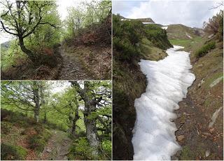 Ruayer-Les Robequeres-La Fitona-Les L.lastres