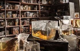 CUENTO DE MIEDO (C.P Noega de Gijón) LABORATORIO