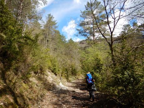 De Campdevànol a Ribes de Freser por el Taga De Campdevànol a Ribes de Freser por el Taga