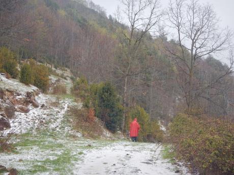 De Campdevànol a Ribes de Freser por el Taga De Campdevànol a Ribes de Freser por el Taga