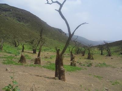 LACHAY: ENTRE LAS LOMAS DEL OLVIDO Y EL DESIERTO DE LA NEGLIGENCIA